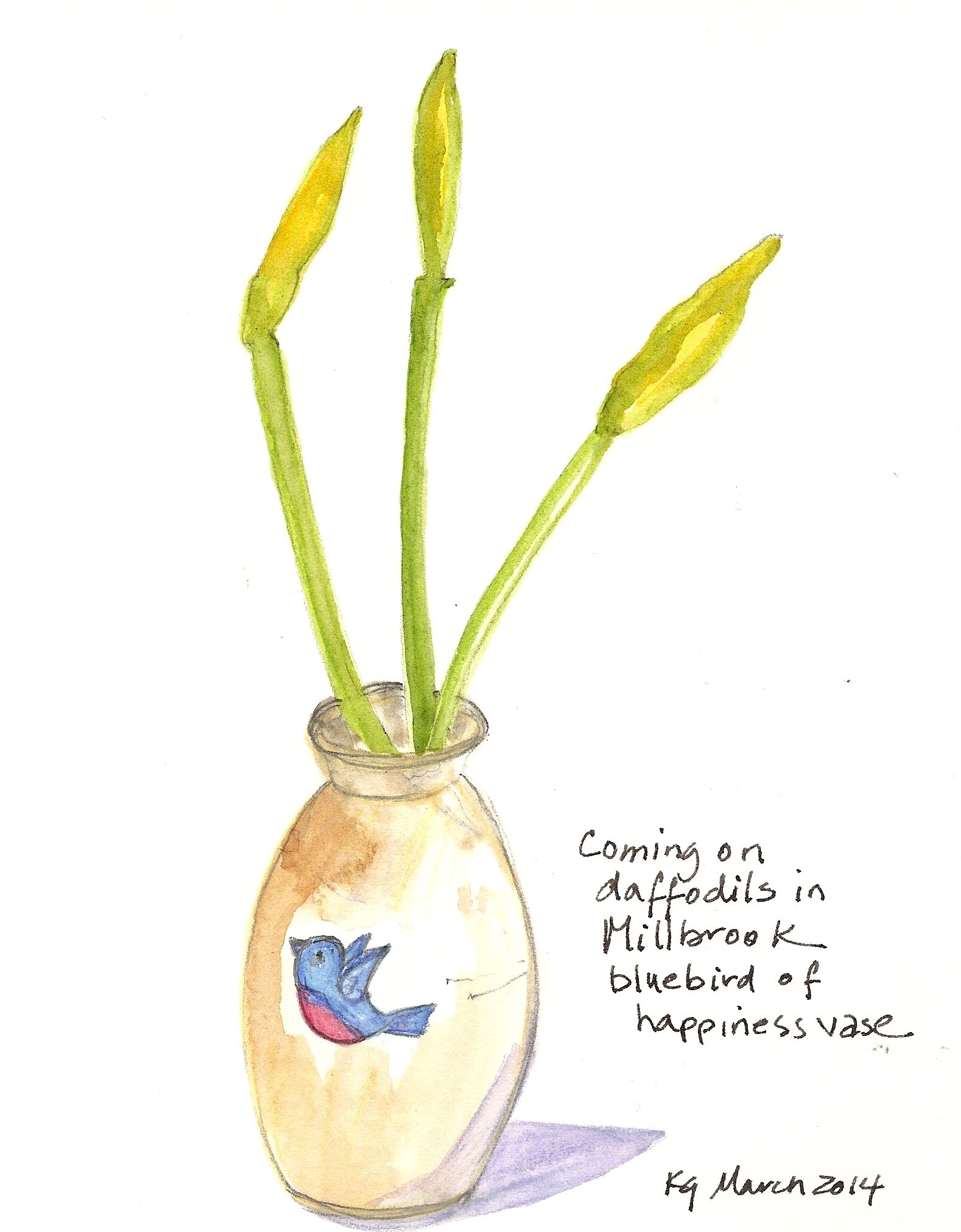 Daffodils in Millbrook vase